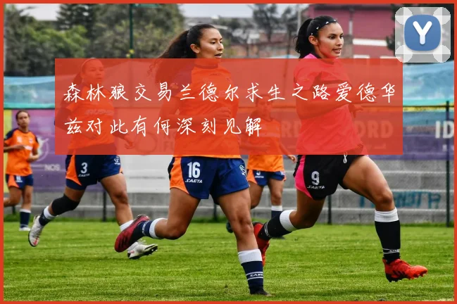 森林狼交易兰德尔求生之路爱德华兹对此有何深刻见解